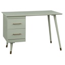 Bàn Làm Việc Màu Xanh Gỗ Thông Cao 76 Rộng 117 Sâu 61 (cm)